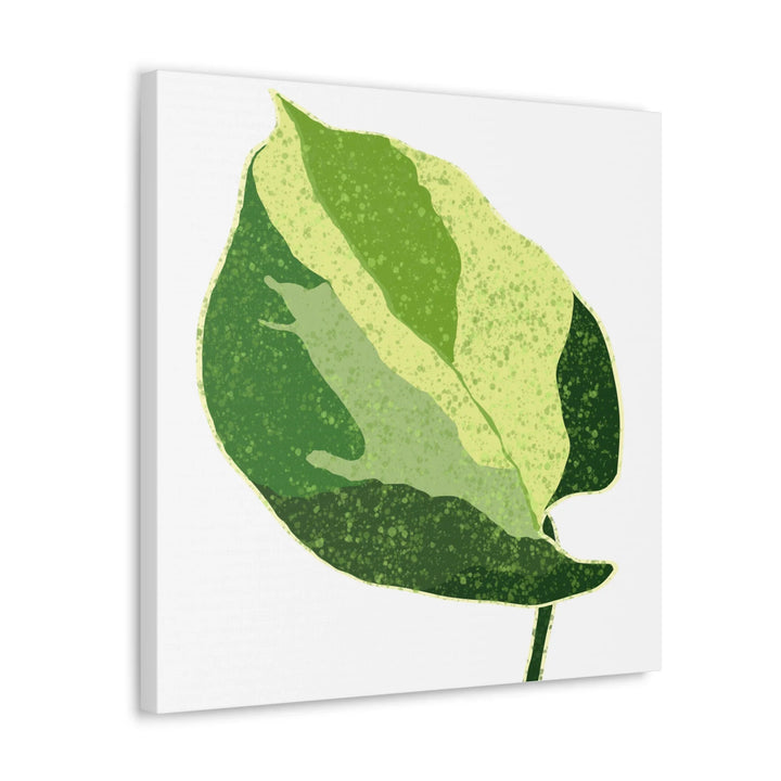Pothos Canvas Print – Matte Finish Canvas Art Print With Durable Cotton Material - Laura Christine Photography & Design