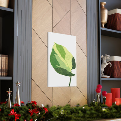 Manjula Pothos Canvas