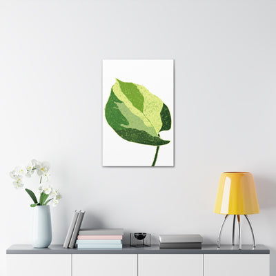 Manjula Pothos Canvas