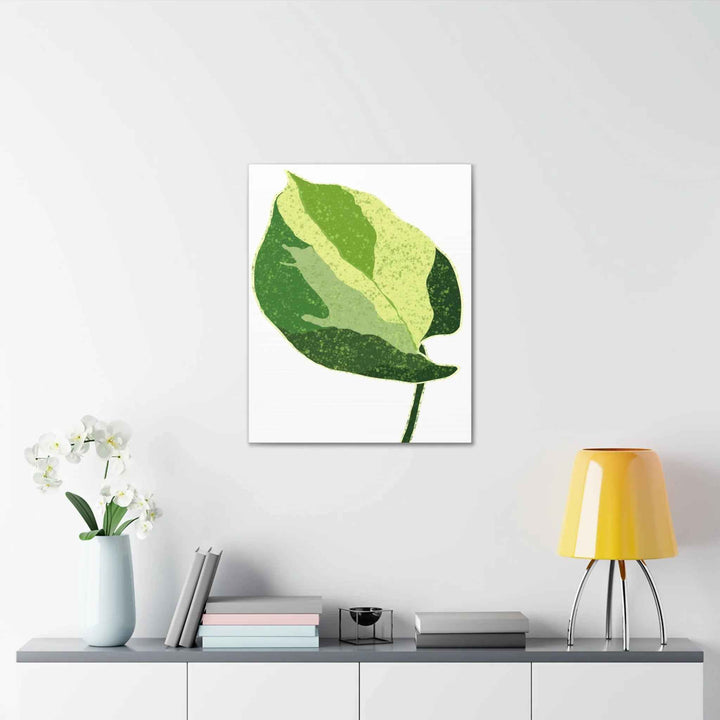 Pothos Canvas Print – Matte Finish Canvas Art Print With Durable Cotton Material