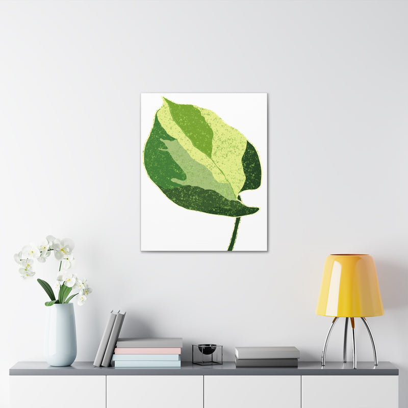 Manjula Pothos Canvas