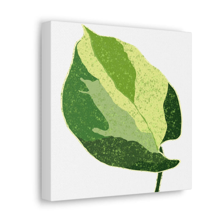 Pothos Canvas Print – Matte Finish Canvas Art Print With Durable Cotton Material - Laura Christine Photography & Design