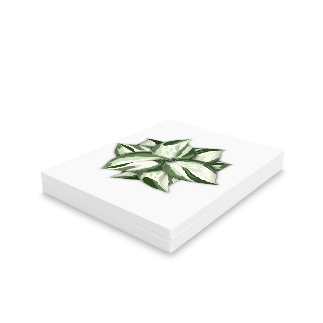 Manjula Pothos Card – Botanical Greeting Cards With Heart Leaf Design & Envelopes Included - Laura Christine Photography & Design