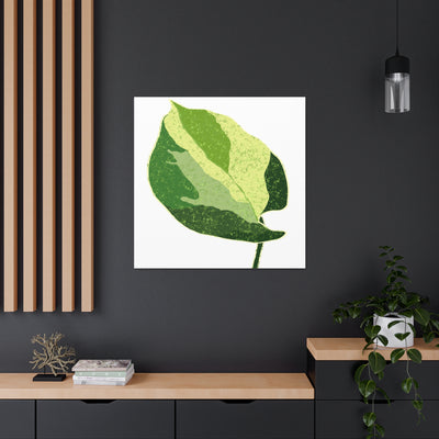 Manjula Pothos Canvas