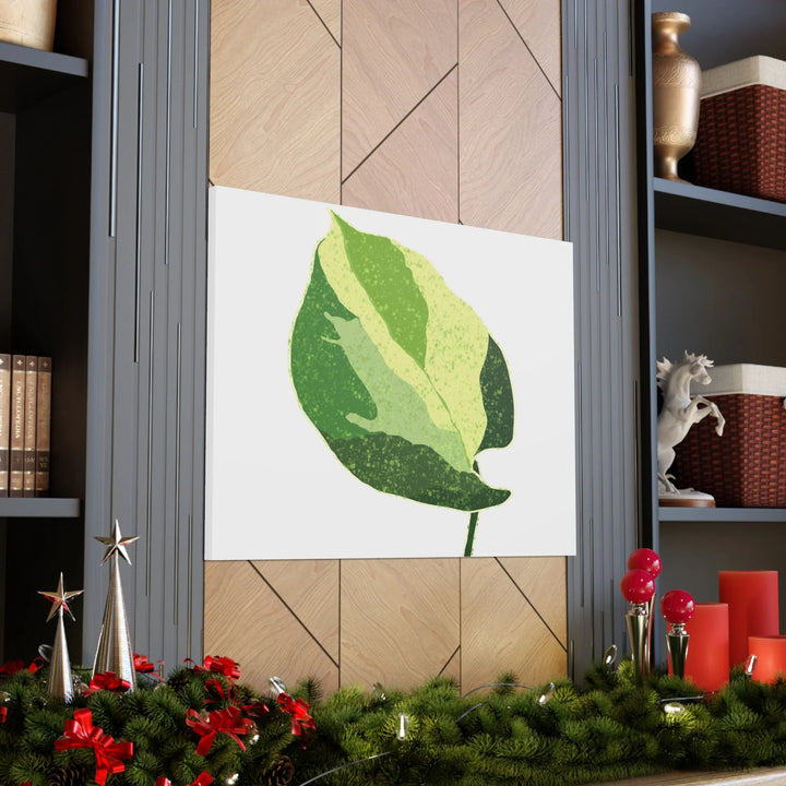 Pothos Canvas Print – Matte Finish Canvas Art Print With Durable Cotton Material - Laura Christine Photography & Design