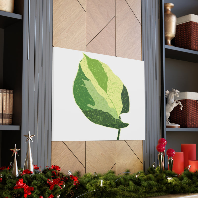 Manjula Pothos Canvas