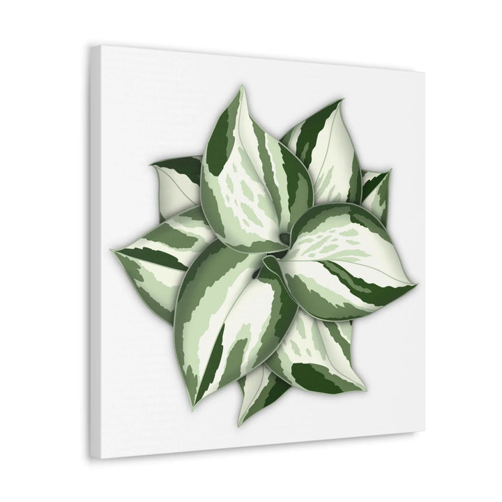 Manjula Pothos Canvas | Botanical Canvas Print - Indoor Plant Print Wall Art - Laura Christine Photography & Design