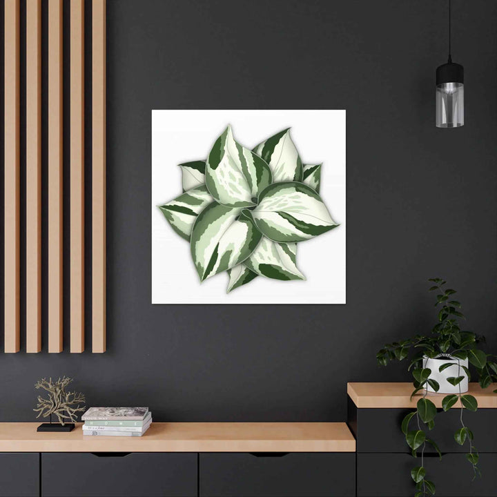Manjula Pothos Canvas | Botanical Canvas Print - Indoor Plant Print Wall Art