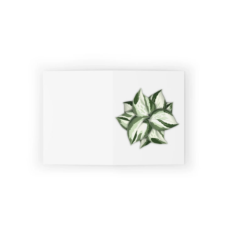 Manjula Pothos Card – Botanical Greeting Cards With Heart Leaf Design & Envelopes Included - Laura Christine Photography & Design
