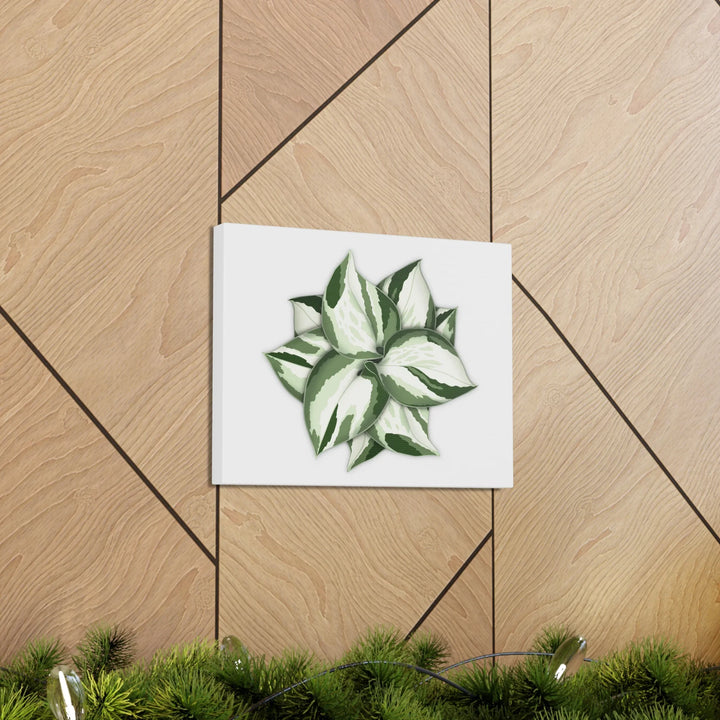 Manjula Pothos Canvas | Botanical Canvas Print - Indoor Plant Print Wall Art - Laura Christine Photography & Design