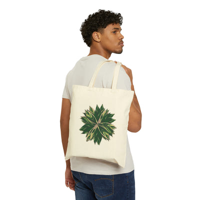 Stromanthe Triostar Tote Bag