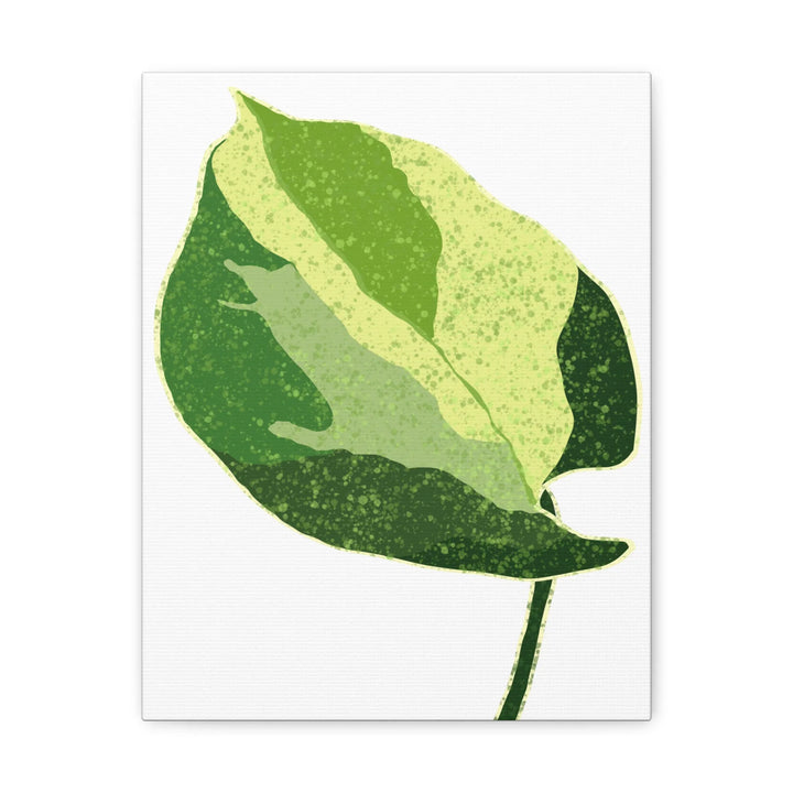 Pothos Canvas Print – Matte Finish Canvas Art Print With Durable Cotton Material - Laura Christine Photography & Design