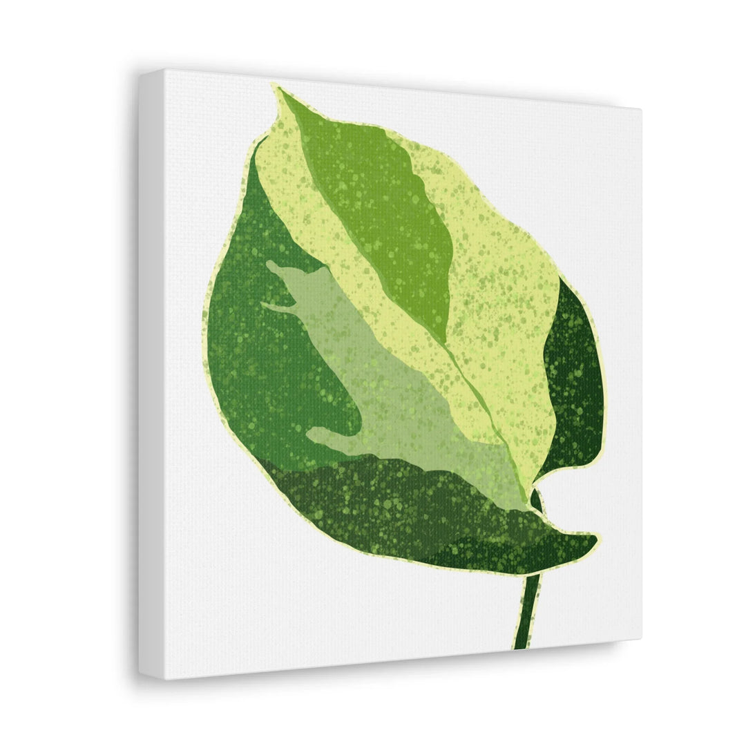 Pothos Canvas Print – Matte Finish Canvas Art Print With Durable Cotton Material - Laura Christine Photography & Design
