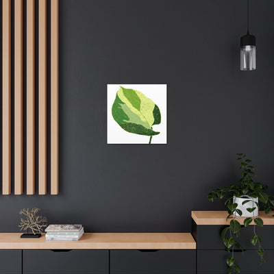 Manjula Pothos Canvas