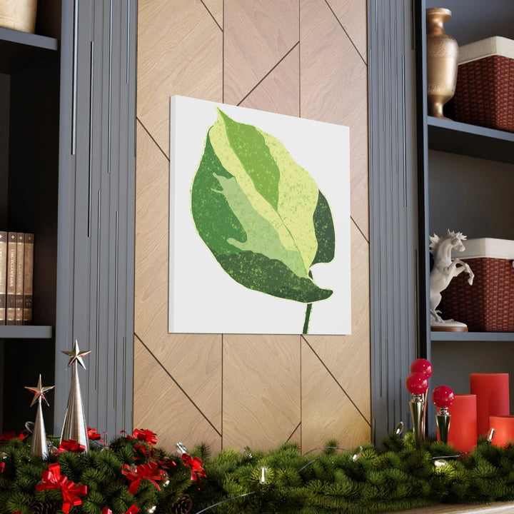 Pothos Canvas Print – Matte Finish Canvas Art Print With Durable Cotton Material - Laura Christine Photography & Design