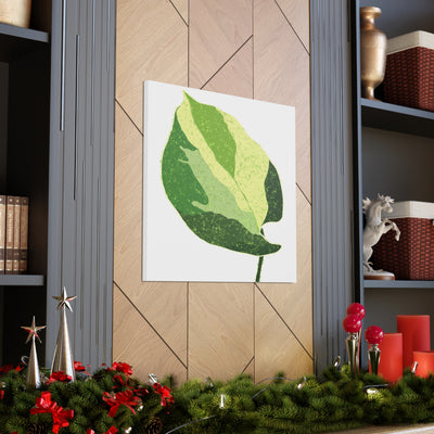 Manjula Pothos Canvas