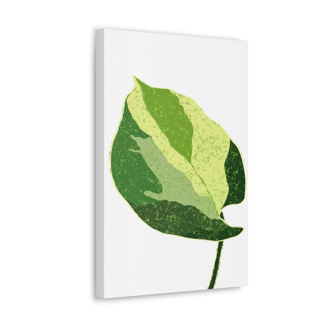 Pothos Canvas Print – Matte Finish Canvas Art Print With Durable Cotton Material - Laura Christine Photography & Design