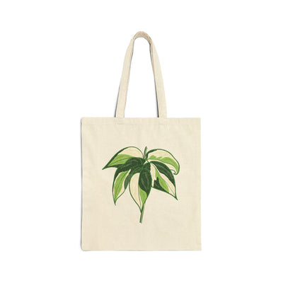 Philodendron 'Cream Splash' Bolsa de tela