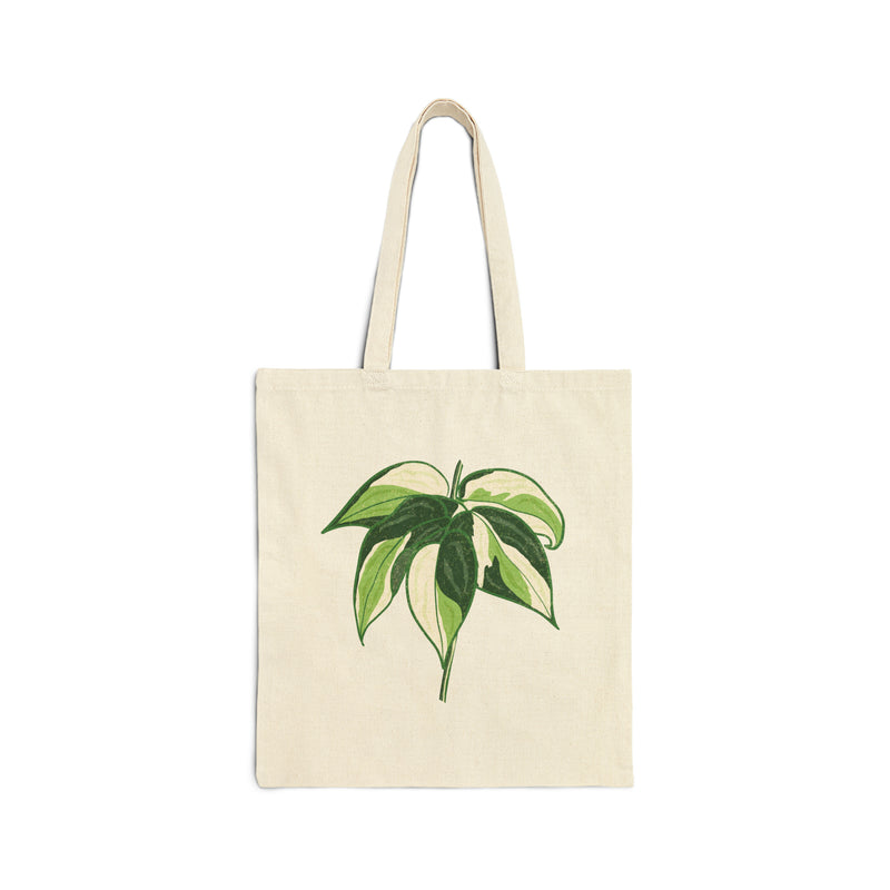 Philodendron &