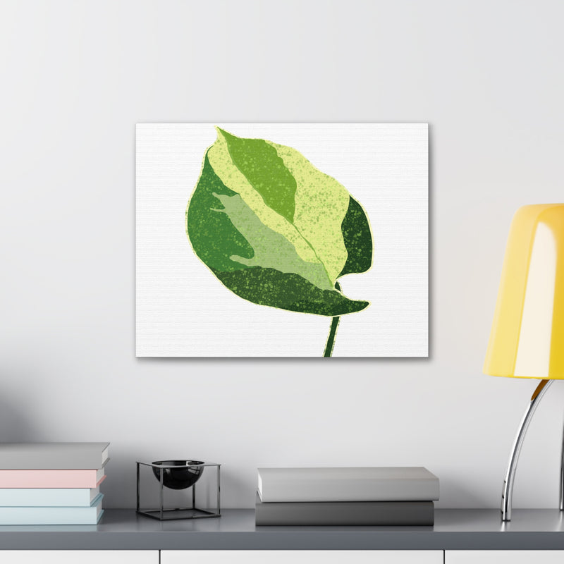 Manjula Pothos Canvas