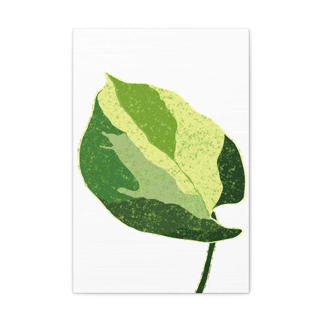 Pothos Canvas Print – Matte Finish Canvas Art Print With Durable Cotton Material - Laura Christine Photography & Design