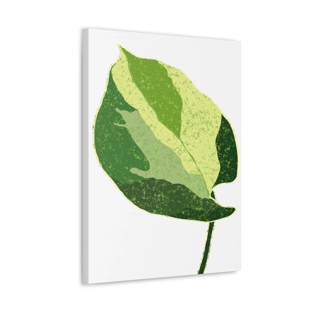 Pothos Canvas Print – Matte Finish Canvas Art Print With Durable Cotton Material - Laura Christine Photography & Design