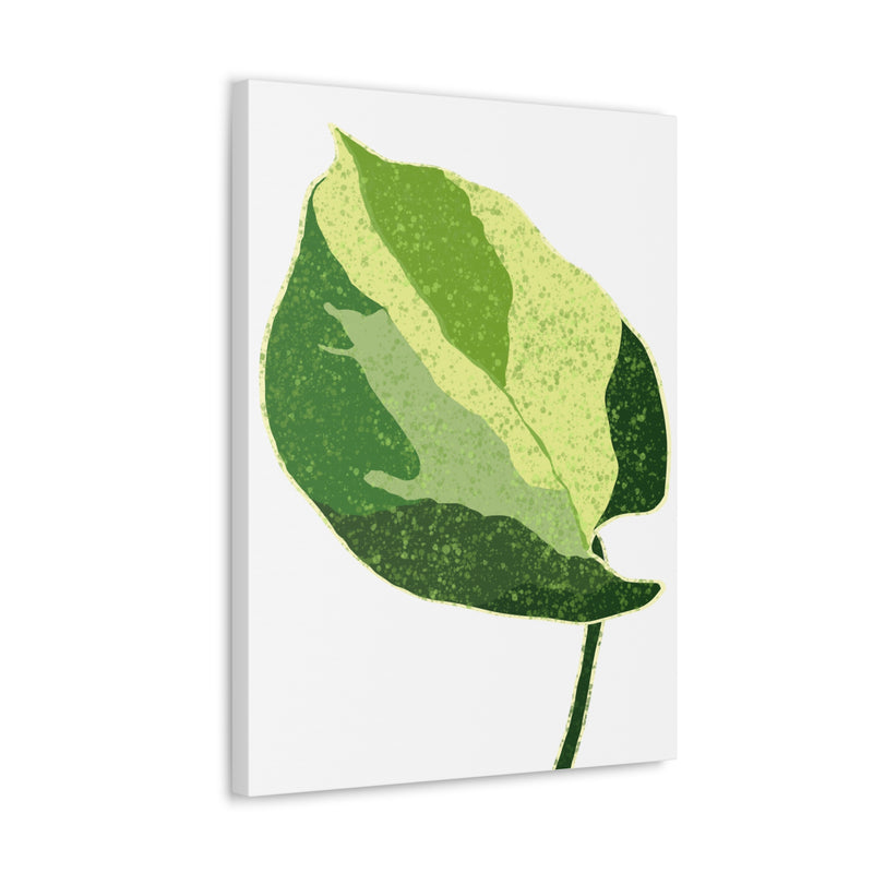 Manjula Pothos Canvas