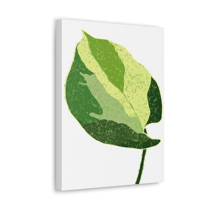 Pothos Canvas Print – Matte Finish Canvas Art Print With Durable Cotton Material - Laura Christine Photography & Design