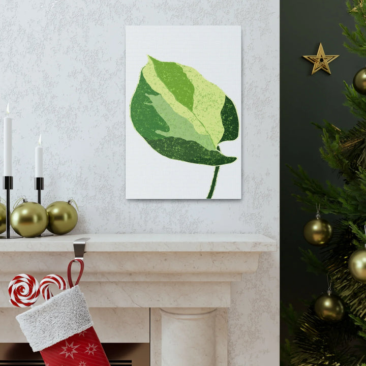 Pothos Canvas Print – Matte Finish Canvas Art Print With Durable Cotton Material - Laura Christine Photography & Design