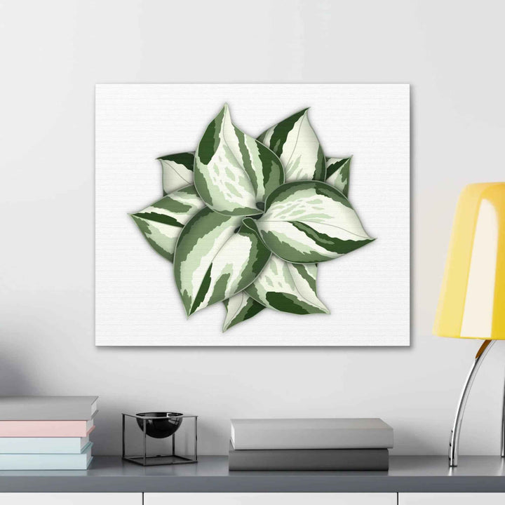 Manjula Pothos Canvas | Botanical Canvas Print - Indoor Plant Print Wall Art