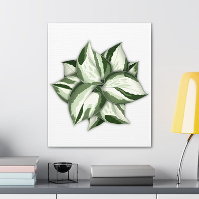 Manjula Pothos Canvas