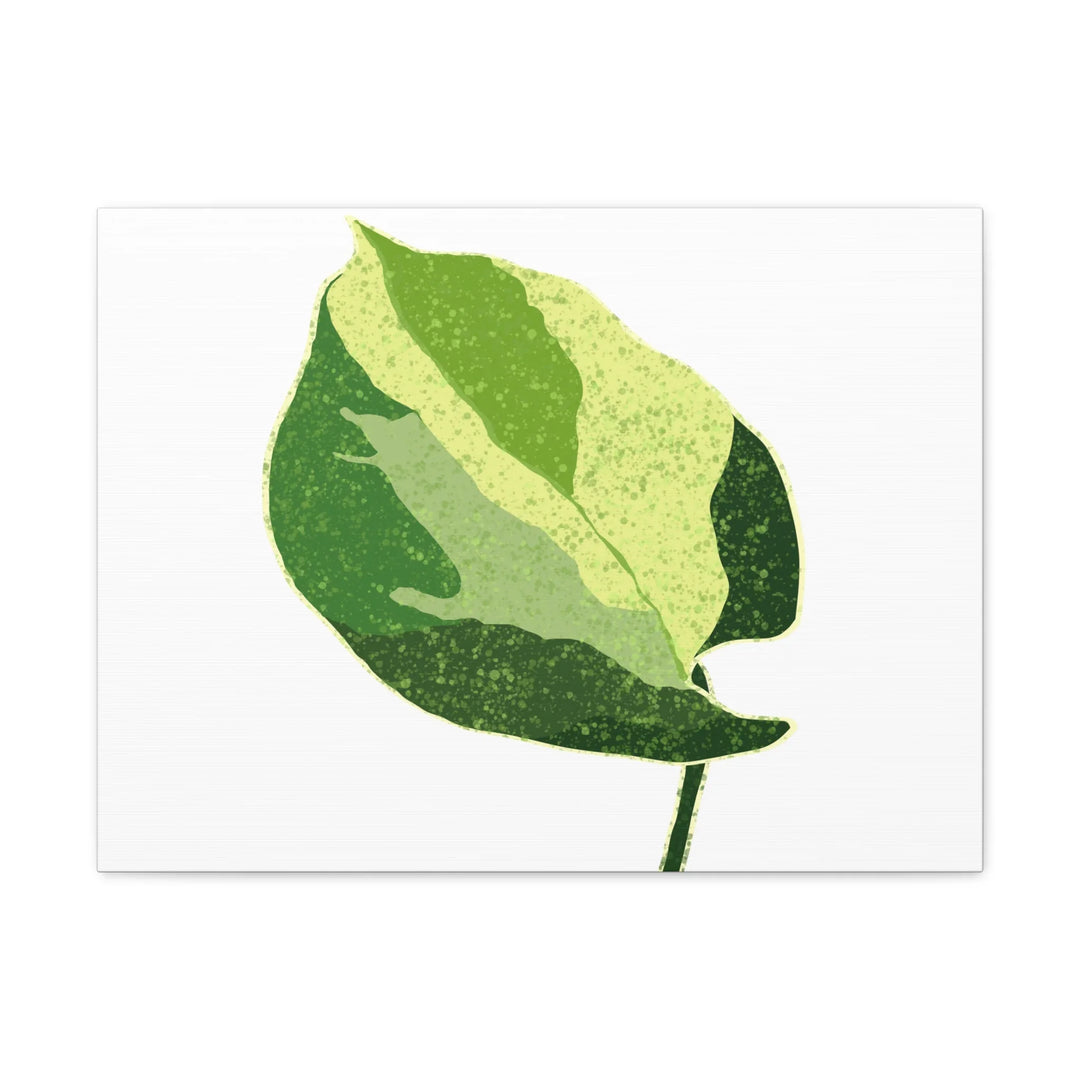 Pothos Canvas Print – Matte Finish Canvas Art Print With Durable Cotton Material - Laura Christine Photography & Design