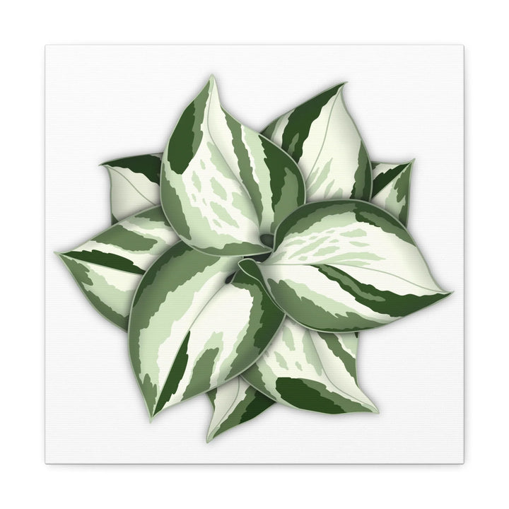 Manjula Pothos Canvas | Botanical Canvas Print - Indoor Plant Print Wall Art - Laura Christine Photography & Design