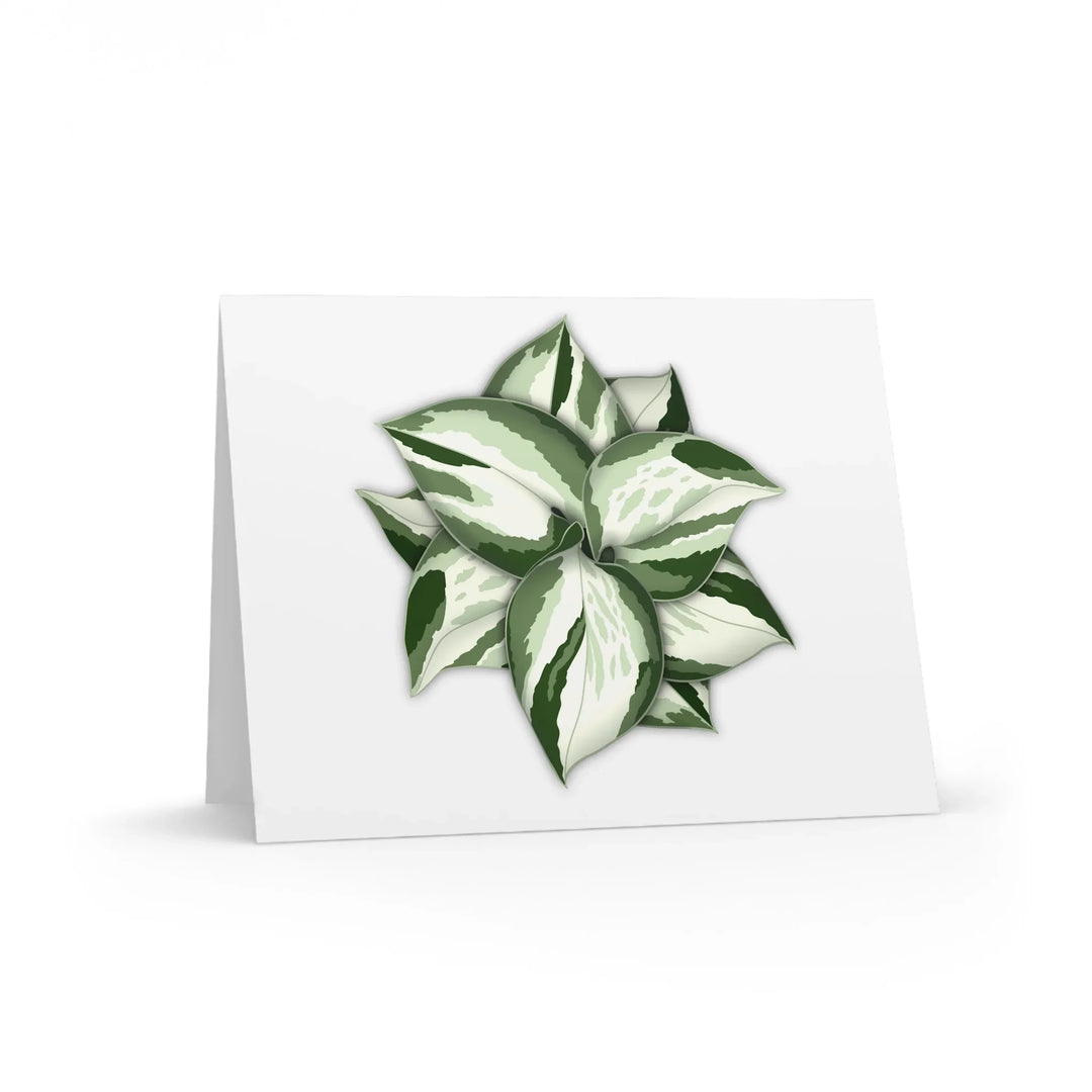 Manjula Pothos Card – Botanical Greeting Cards With Heart Leaf Design & Envelopes Included - Laura Christine Photography & Design