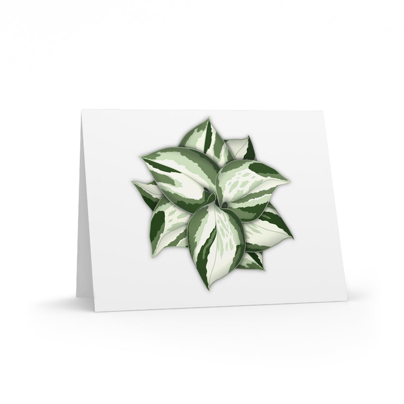 Manjula Pothos Greeting Card