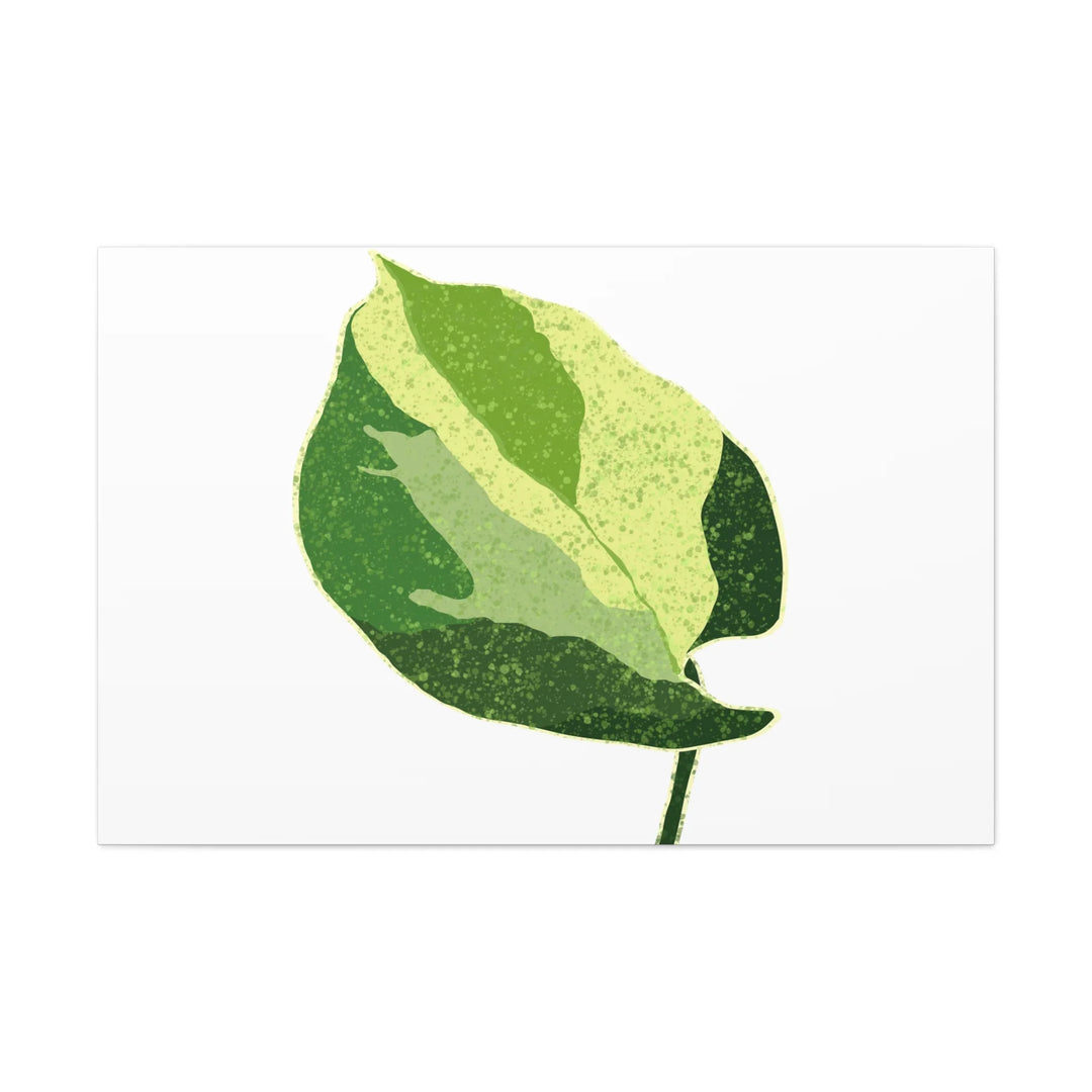 Pothos Canvas Print – Matte Finish Canvas Art Print With Durable Cotton Material - Laura Christine Photography & Design