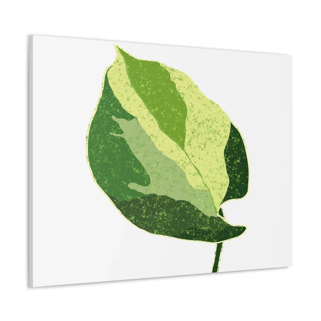 Pothos Canvas Print – Matte Finish Canvas Art Print With Durable Cotton Material - Laura Christine Photography & Design