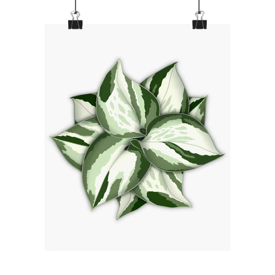 Manjula Pothos Print – Botanical Wall Art | Green Leaf Wall Decor | Unframed