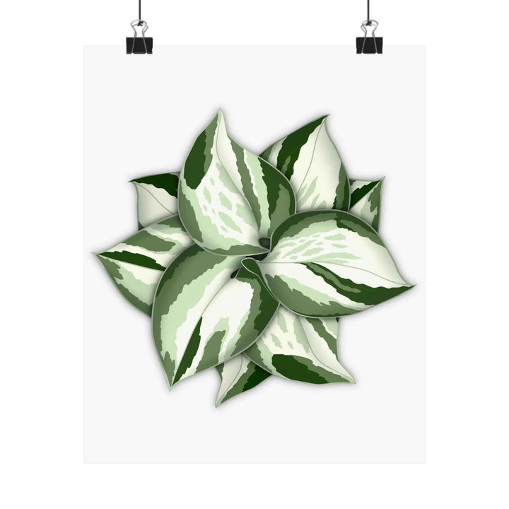 Manjula Pothos Print – Botanical Wall Art | Green Leaf Wall Decor | Unframed