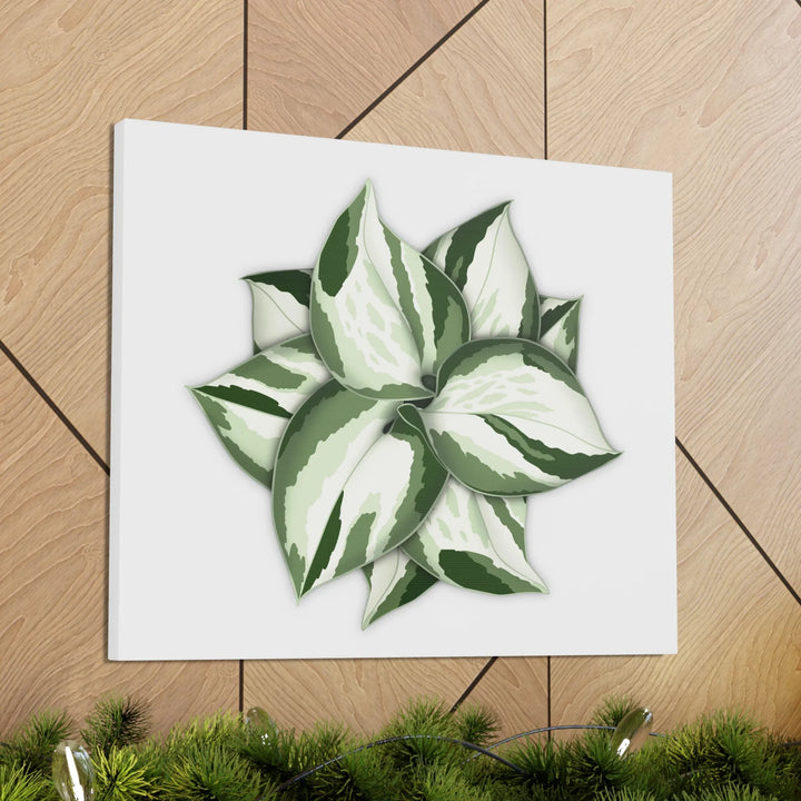 Manjula Pothos Canvas | Botanical Canvas Print - Indoor Plant Print Wall Art - Laura Christine Photography & Design