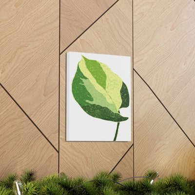 Manjula Pothos Canvas