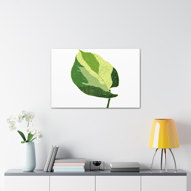 Manjula Pothos Canvas