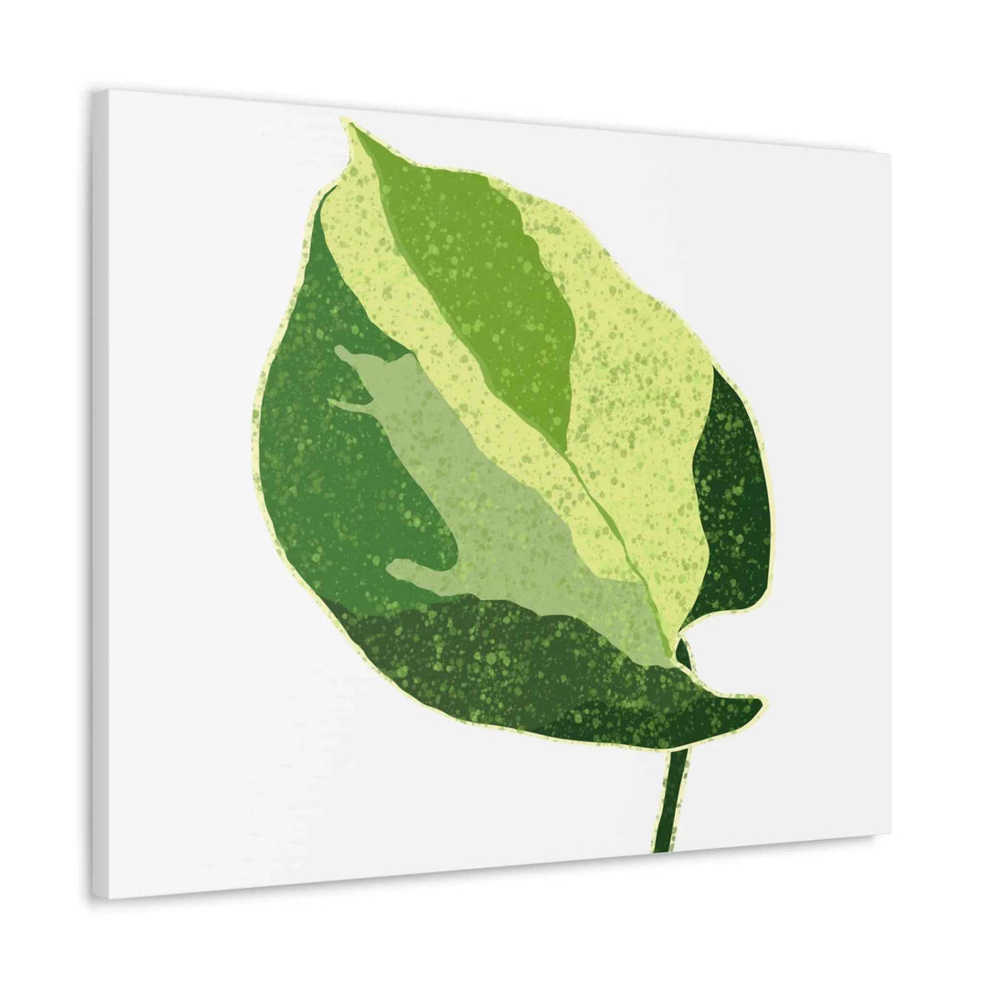 Pothos Canvas Print – Matte Finish Canvas Art Print With Durable Cotton Material