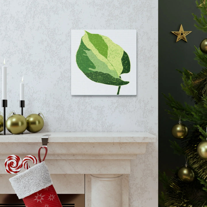 Pothos Canvas Print – Matte Finish Canvas Art Print With Durable Cotton Material - Laura Christine Photography & Design