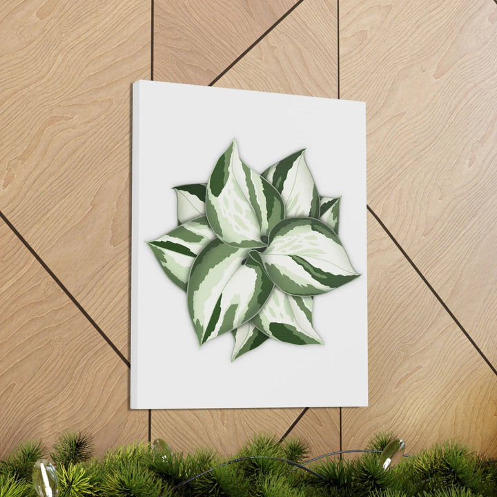 Manjula Pothos Canvas | Botanical Canvas Print - Indoor Plant Print Wall Art - Laura Christine Photography & Design