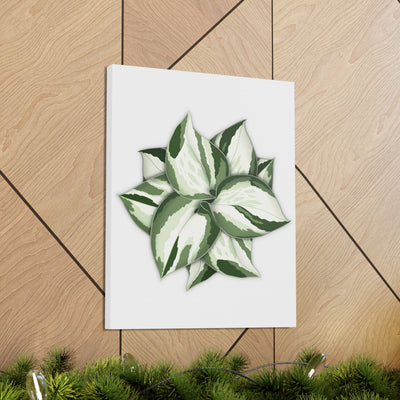 Manjula Pothos Canvas