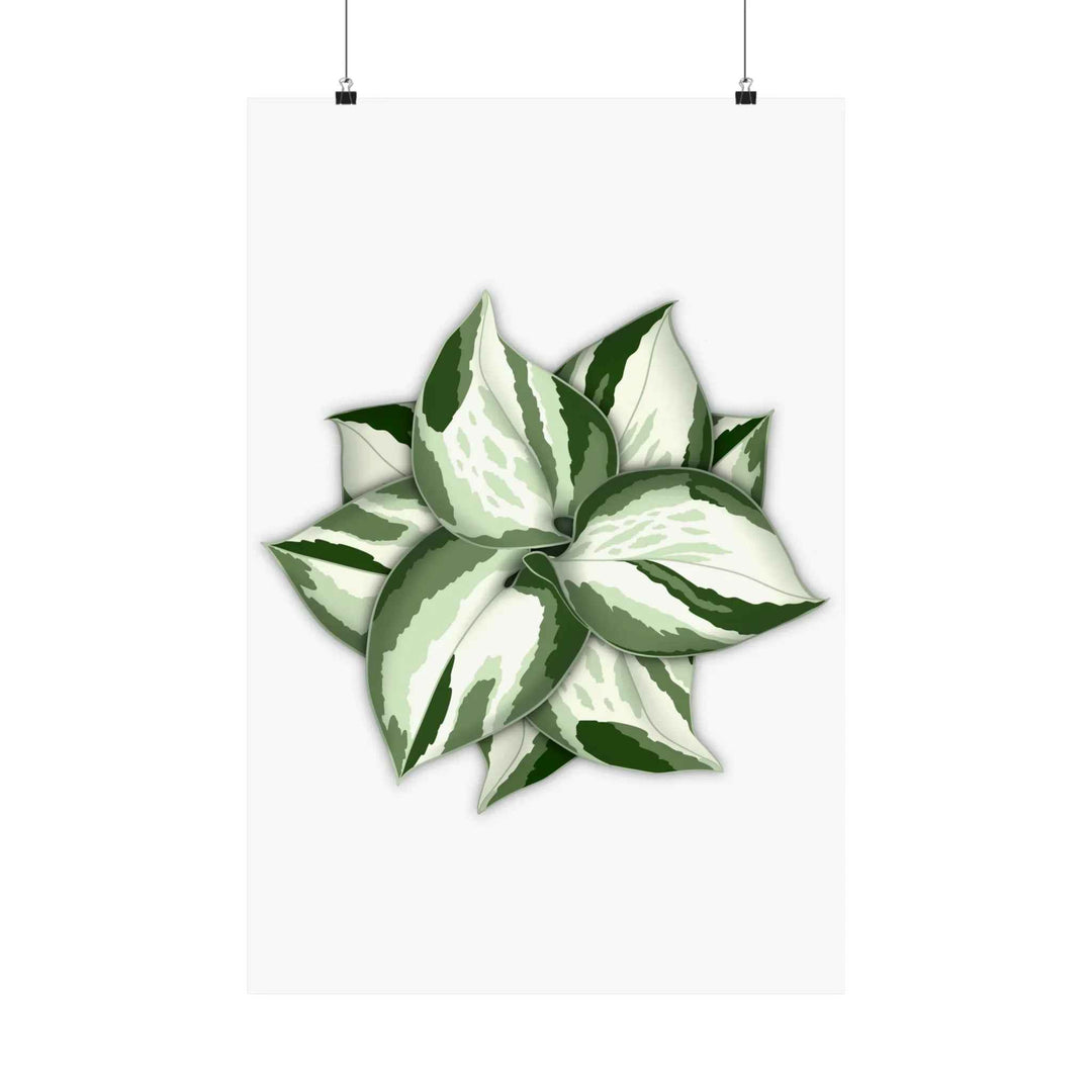 Manjula Pothos Print – Botanical Wall Art | Green Leaf Wall Decor | Unframed