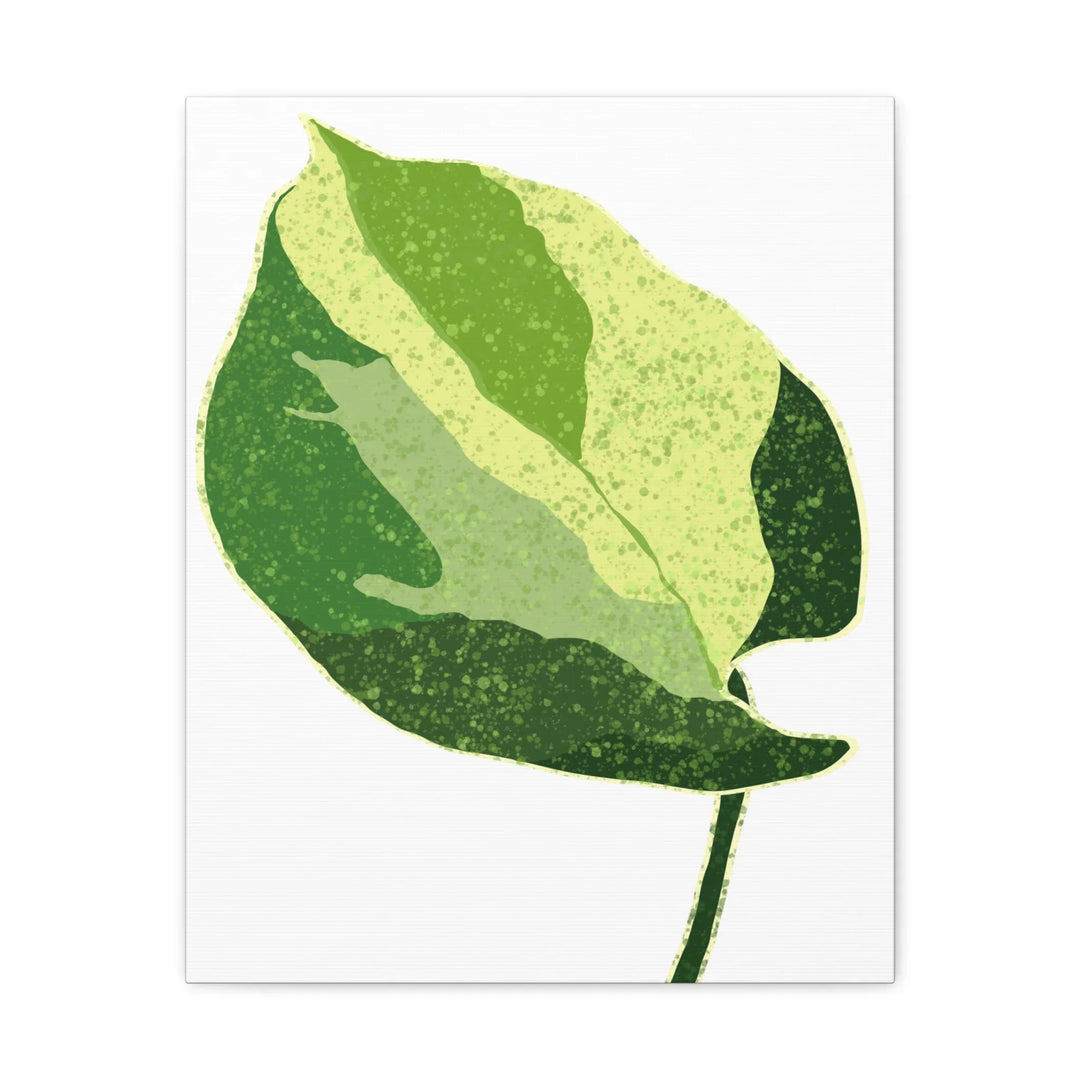 Pothos Canvas Print – Matte Finish Canvas Art Print With Durable Cotton Material - Laura Christine Photography & Design