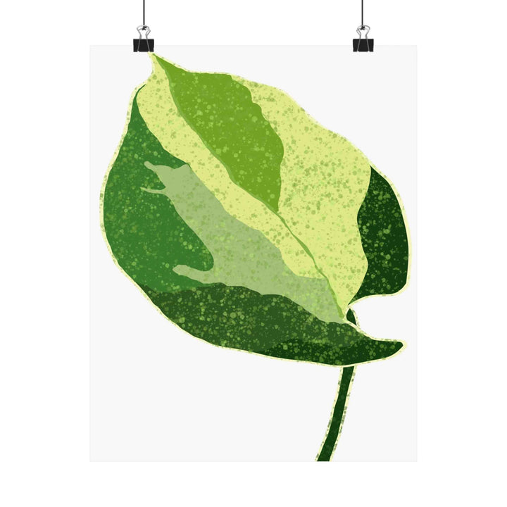 Pothos Wall Art – Botanical Poster on Museum Grade Paper | Indoor Plant Print Unframed