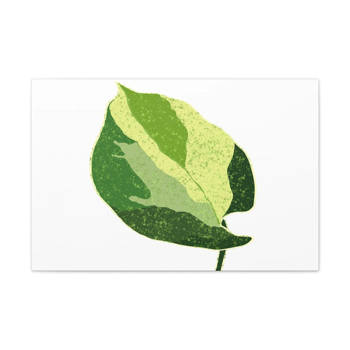 Pothos Canvas Print – Matte Finish Canvas Art Print With Durable Cotton Material - Laura Christine Photography & Design